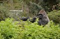 Kids_DFWzoo_3-2016 (169)